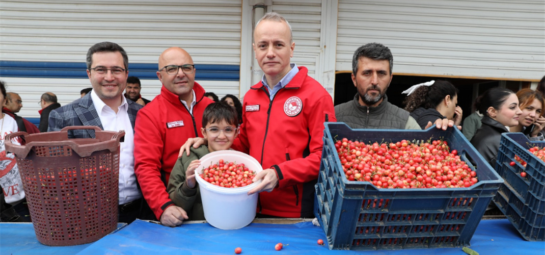 KUZEY YARIM KÜRE’NİN AÇIK ALANDAKİ İLK KİRAZ HASADI ŞEHZADELER ŞEHRİ MANİSAMIZDA YAPILDI